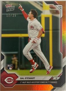 Sal Stewart