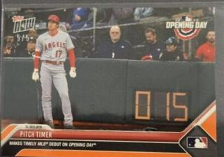 Pitch Timer