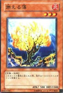 Burning Algae 307-007
