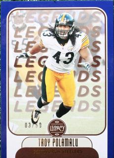 Troy Polamalu