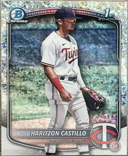 Haritzon Castillo