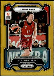 Vladimir Lucic