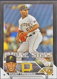 Roansy Contreras