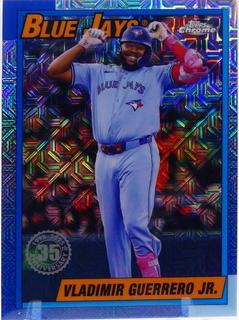 Vladimir Guerrero Jr.