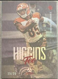 Tee Higgins