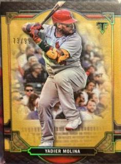 Yadier Molina