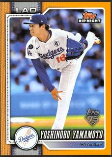 Yoshinobu Yamamoto