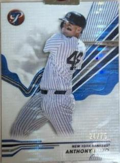 Anthony Rizzo