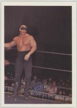 Road Warriors #301 Wrestling Cards 1988 Wonderama NWA
