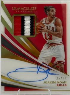 Joakim Noah