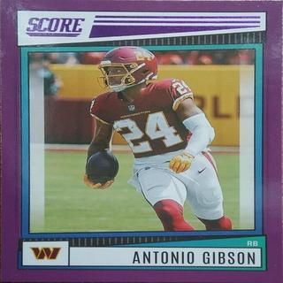 Antonio Gibson