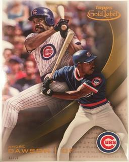 Andre Dawson