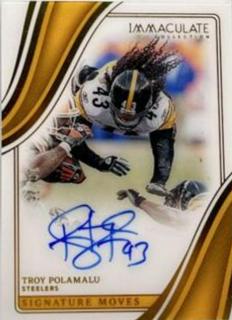 Troy Polamalu