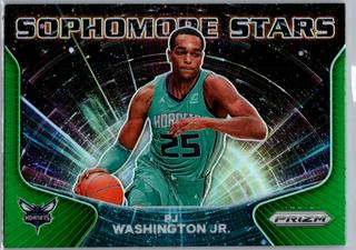 PJ Washington Jr.