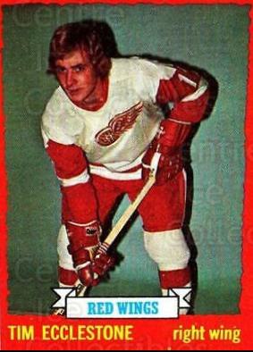 Tim Ecclestone #124 Hockey Cards 1973 Topps