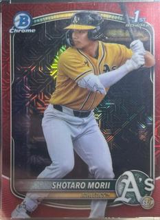 Shotaro Morii