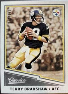 Terry Bradshaw
