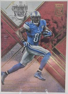 Calvin Johnson
