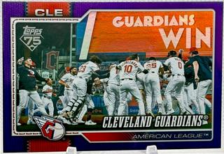 Team Card