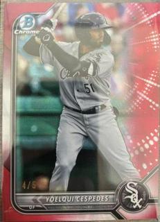 Yoelqui Cespedes