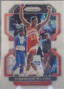 Dominique Wilkins