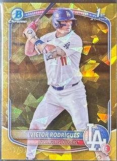 Victor Rodrigues