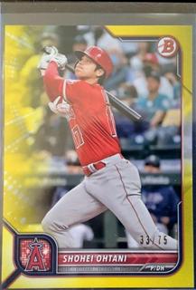 Shohei Ohtani