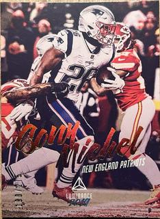 Sony Michel