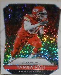 Tamba Hali