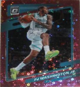 PJ Washington Jr.