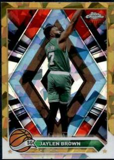 Jaylen Brown