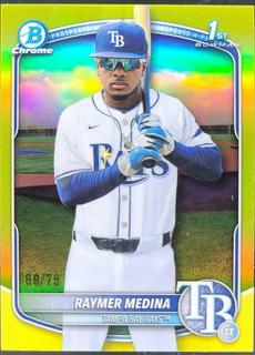 Raymer Medina