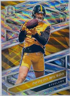 Payton Wilson