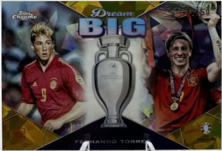 Fernando Torres #DB-9