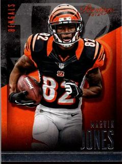 Marvin Jones