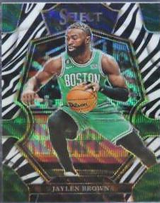 Jaylen Brown