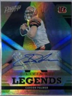 Carson Palmer