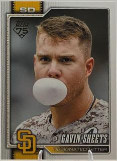 Gavin Sheets