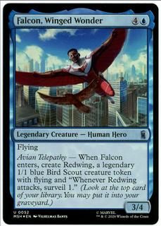 Falcon, Winged Wonder
