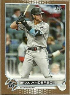 Brian Anderson