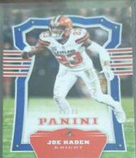 Joe Haden
