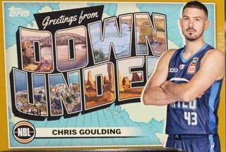 Chris Goulding