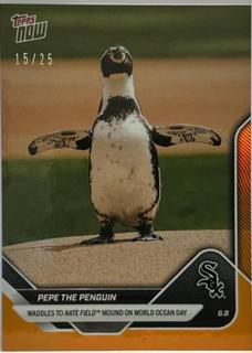 Pepe The Penguin