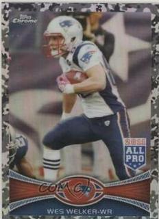 Wes Welker