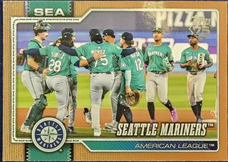 Team Card