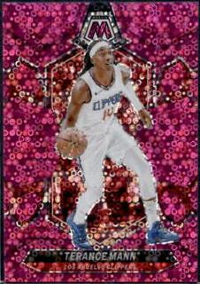 Terance Mann