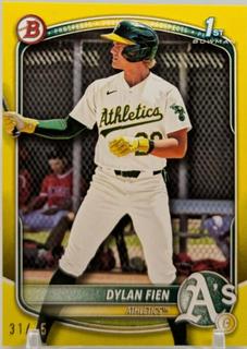 Dylan Fien