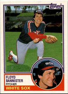 Floyd Bannister