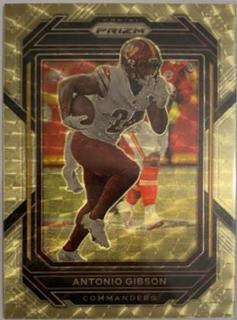 Antonio Gibson