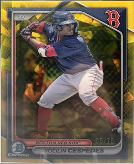 Yoeilin Cespedes